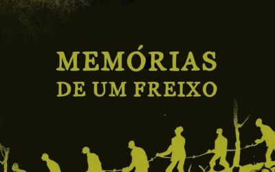 A necessidade de lembrar em “Memórias de um Freixo”